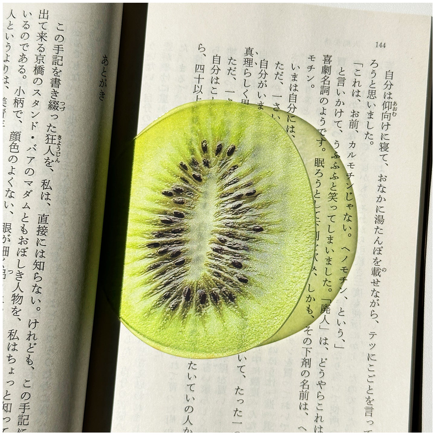 fe87045b-73ea-4ad3-a6f1-be1c798c4e20